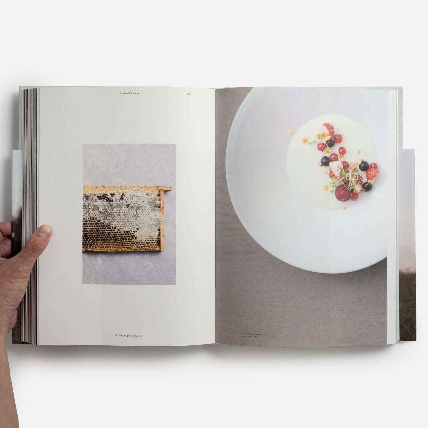 Pround of Lithuania, A Fairy Tale by Sweet Root Restaurant