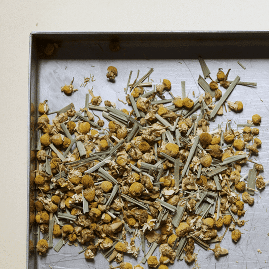 ジンジャー&レモングラス