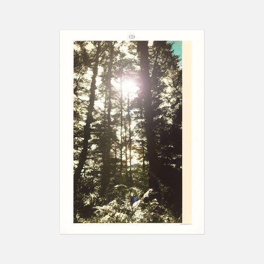 Poster | An Imaginary Vintage Landscape 003