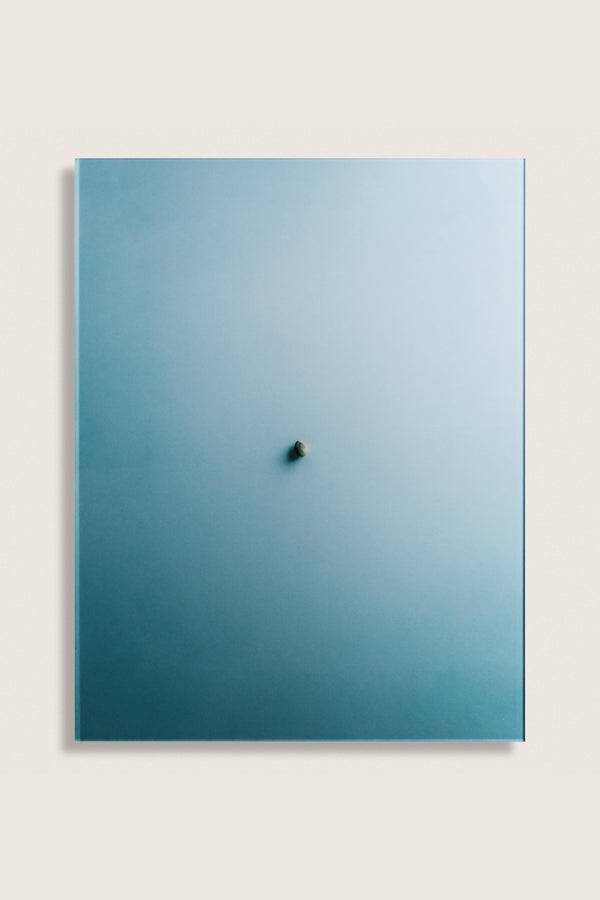 Kumquat | Spread While