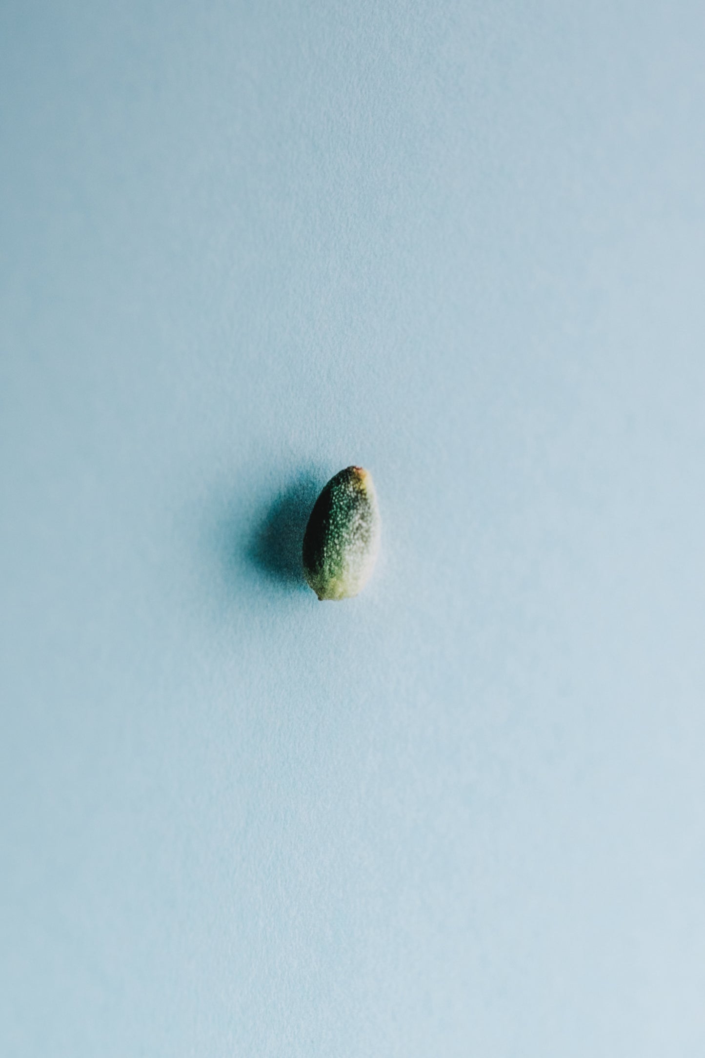 Kumquat | Spread While