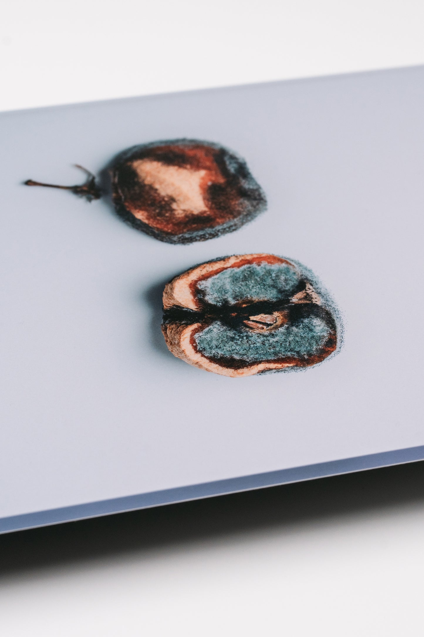 Persimmon | Spread While