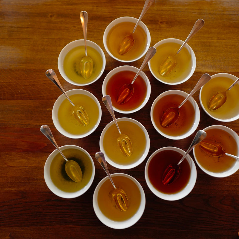 Chocolate and Tea tasting session