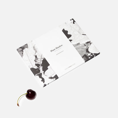 Plant Shadow Envelope
