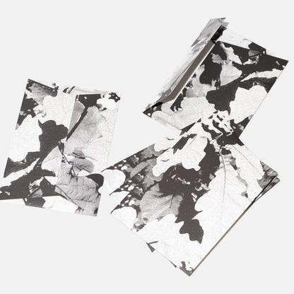 Plant Shadow Envelope