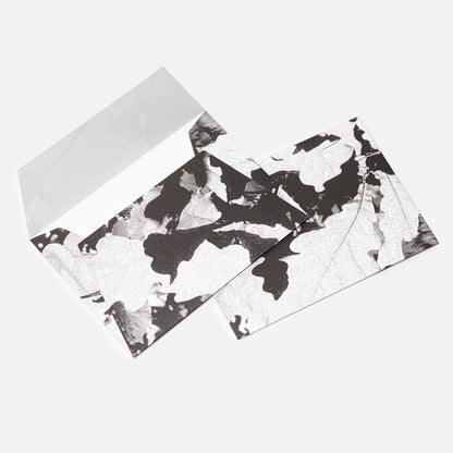 Plant Shadow Envelope