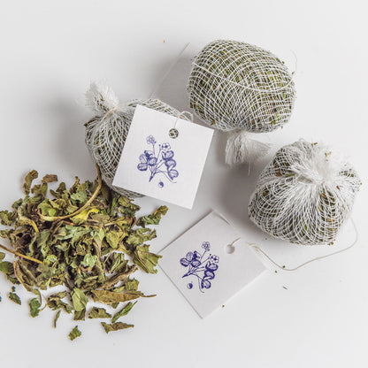 ネトル＆ミント